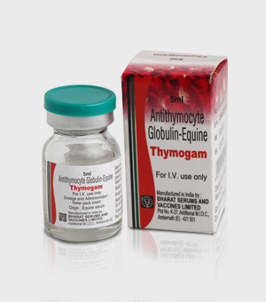 Antithymocyte Globulin Injection