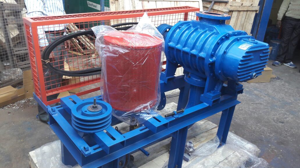 Twin Lobe Root Blower