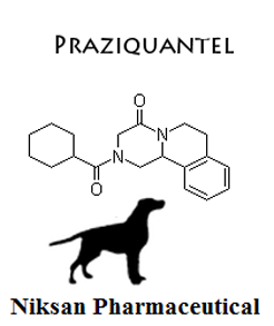 Pr Aziquantel - Boiling Point: 544.1 A C