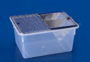 एनिमल केज ट्विन ग्रिल