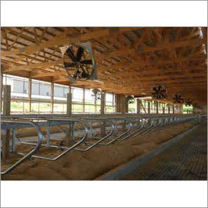 Cow Shed Dairy Fan