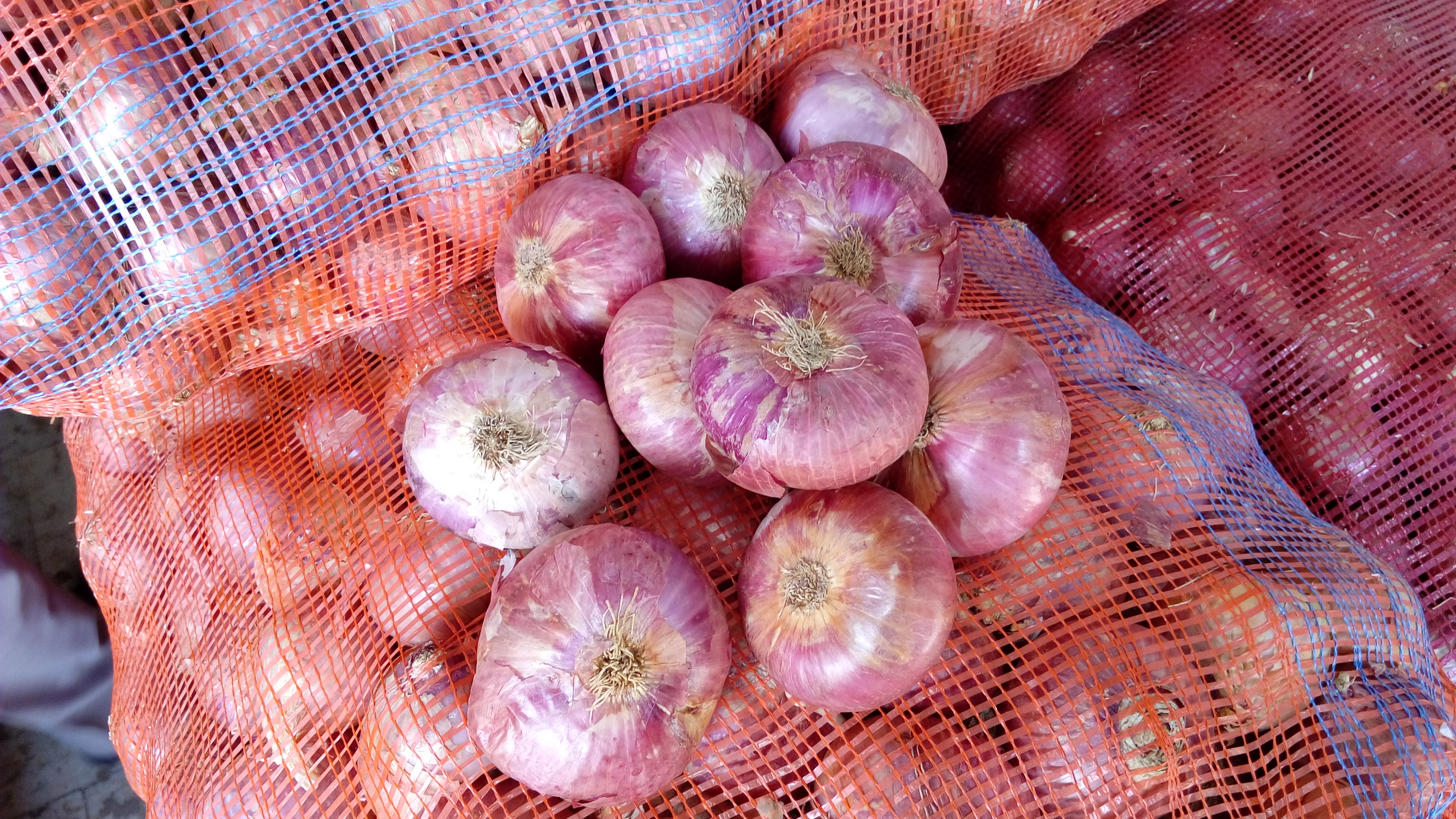 Red Onion