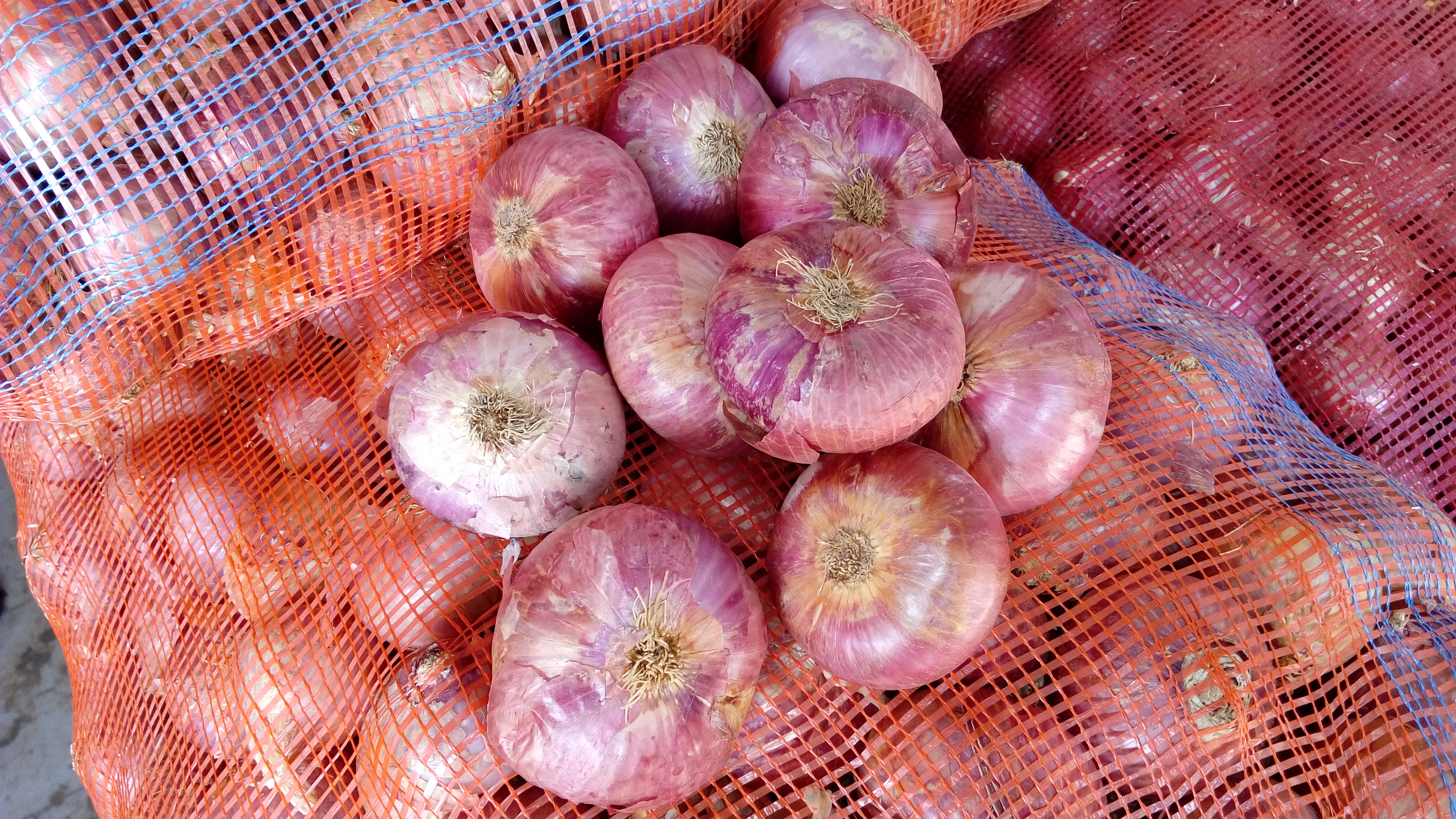 Red Onion