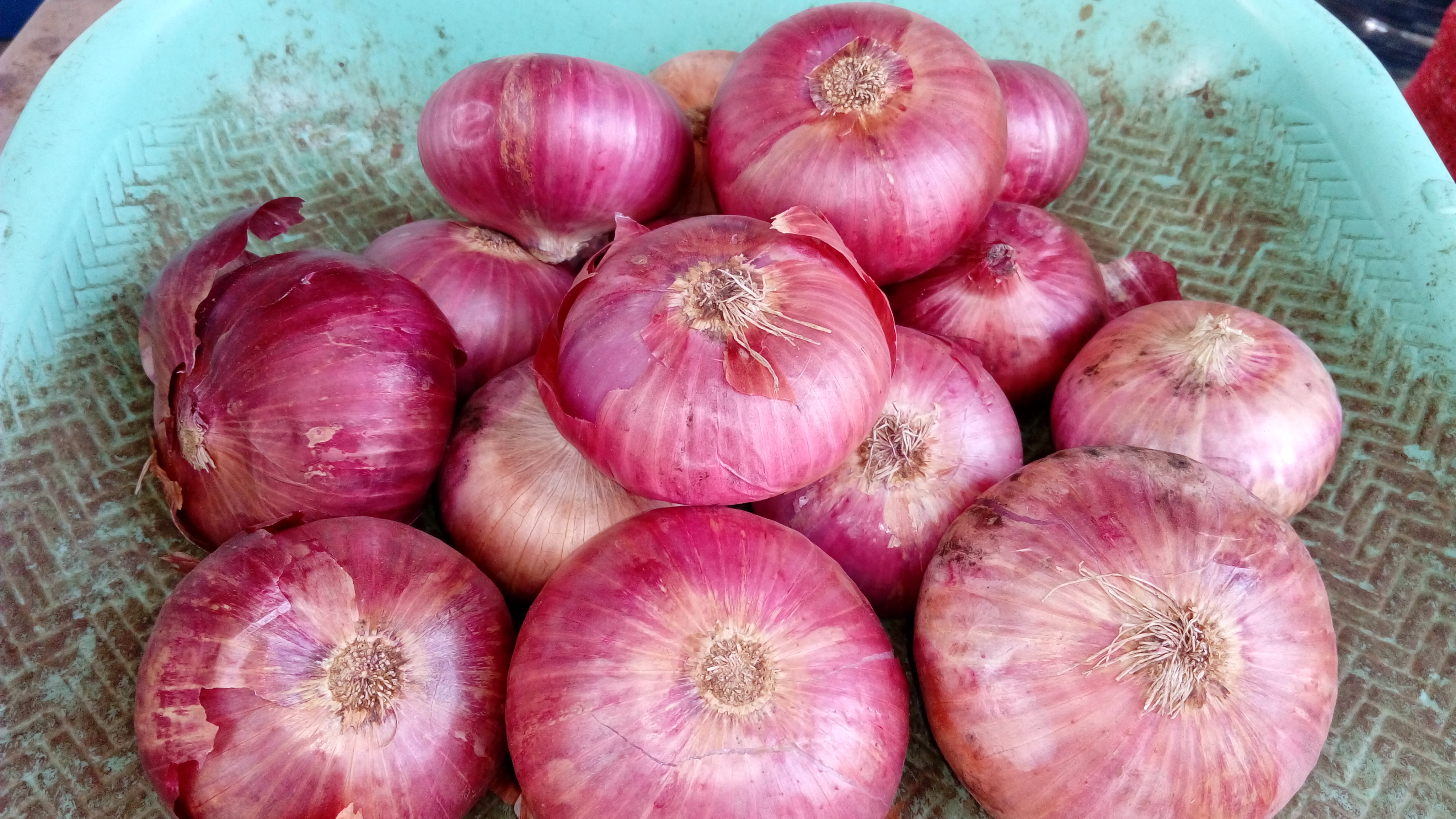 Red Onion