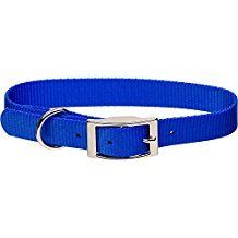 Dog Collar