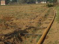 Drip Irrigation with Foldable,Flexible Main and Submain Line