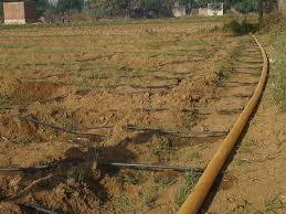 सूक्ष्म सिंचाई प्रणाली, उलझी हुई भूमि पर बूँद-बूँद सिंचाई