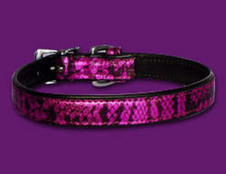 Snake Puppy Dog Collar