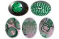 Xylan Ptfe Non Stick Coating