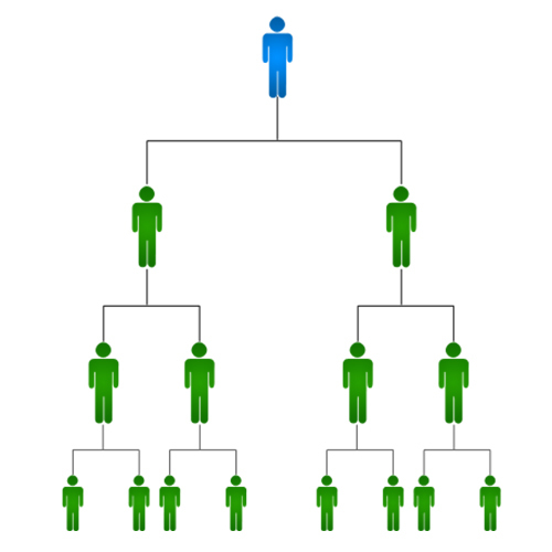 Mlm Development Services