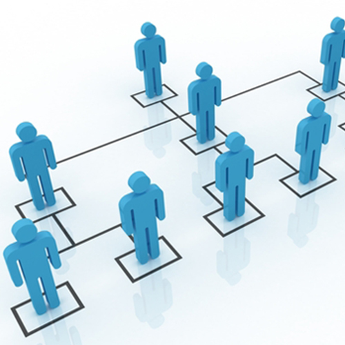 Mlm Development Services