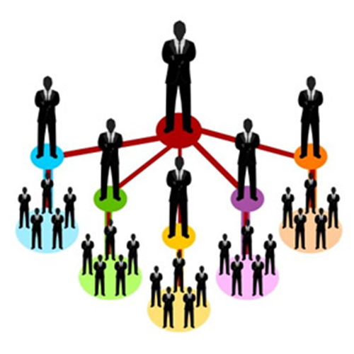 Mlm Development Services