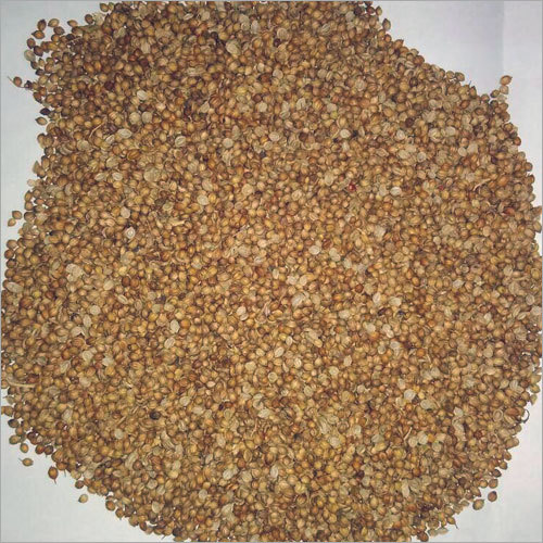 कच्ची धनिया