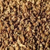 Brown Celery Seeds
