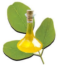 Yellow Moringa Oil