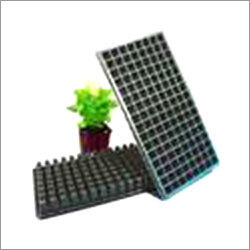 plastic seedling tray