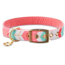 Dog Collar