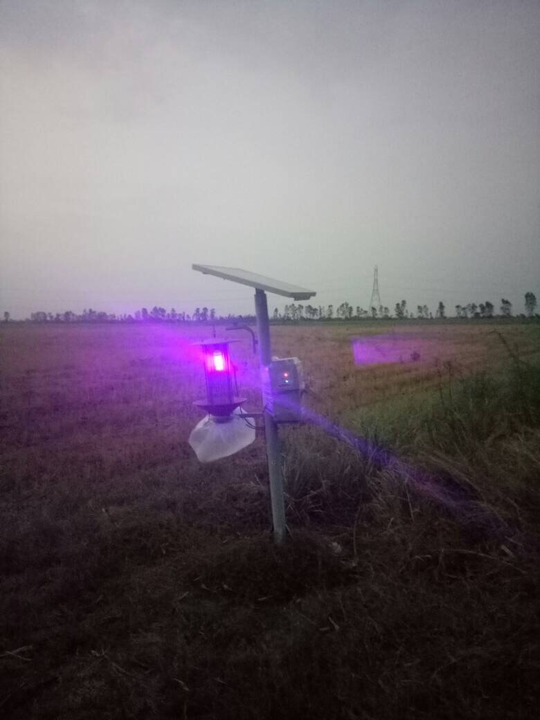 Solar Pest Killer