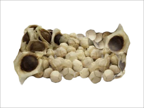 मोरेनगा कर्नेल