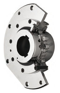 Drum Flexible Coupling 350