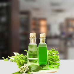 Tea Tree Oil Odour:: Fresh Camphoraceous Odor