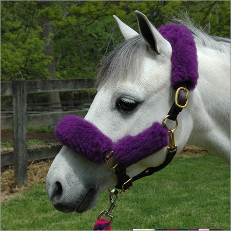 घोड़े की फर वाली पट्टा