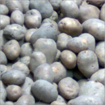 सफेद आलू