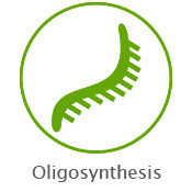 Oligonucleotide Chemical