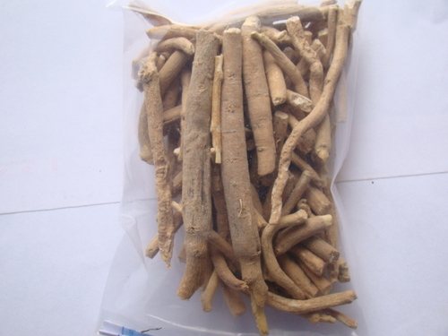 अश्वगंधा