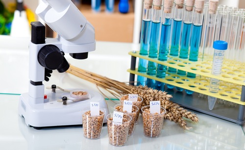 Food Testing Services