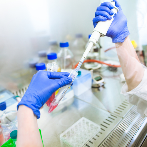 Chemical Testing Services
