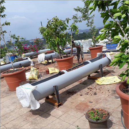 Nursery Flower Plant