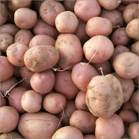 Fresh Potato