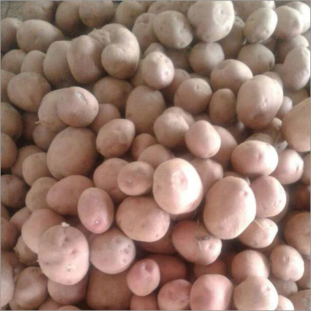 Fresh Nutritious Potato