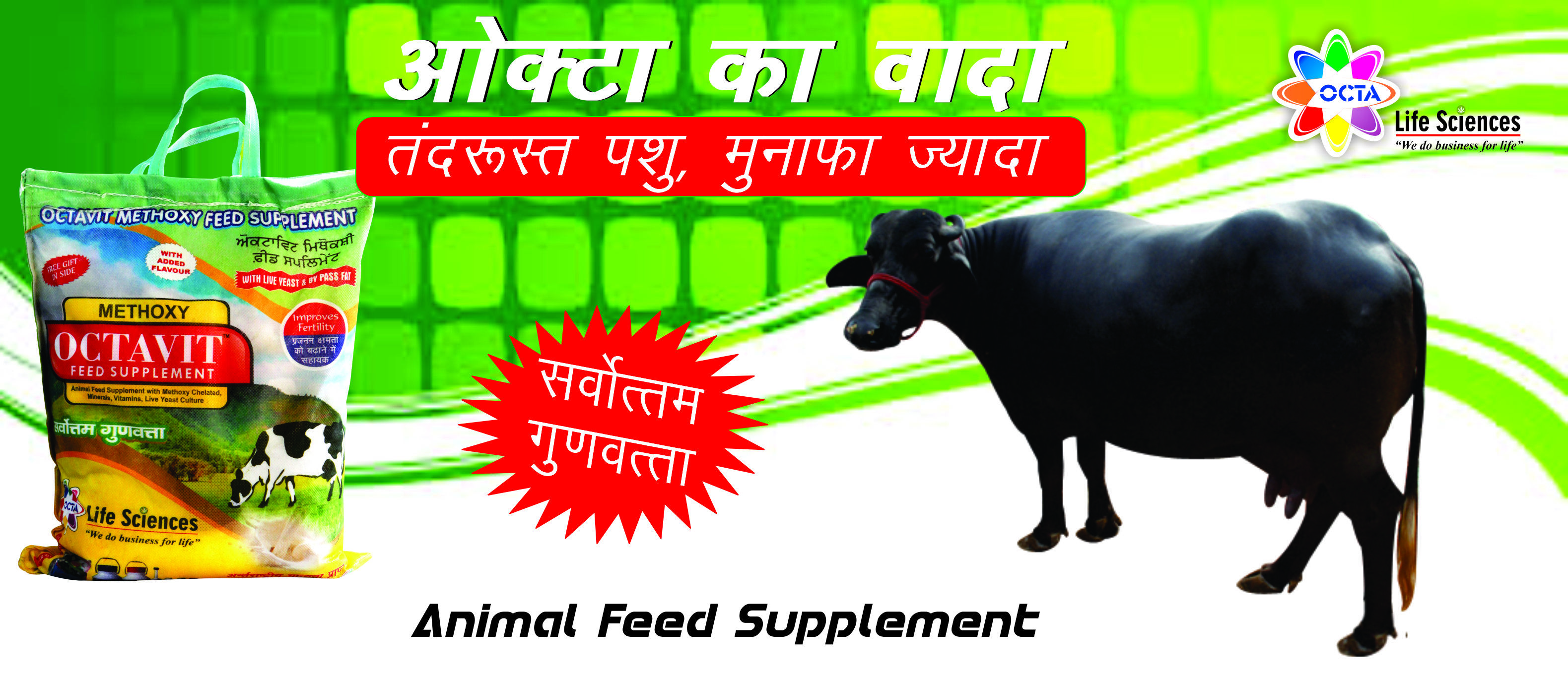 Animal Feed Supplement - Powder Form, Amino Acid Based, Strong Fragrance | Promotes Milk Yield, Supports Immune System, Fresh Texture