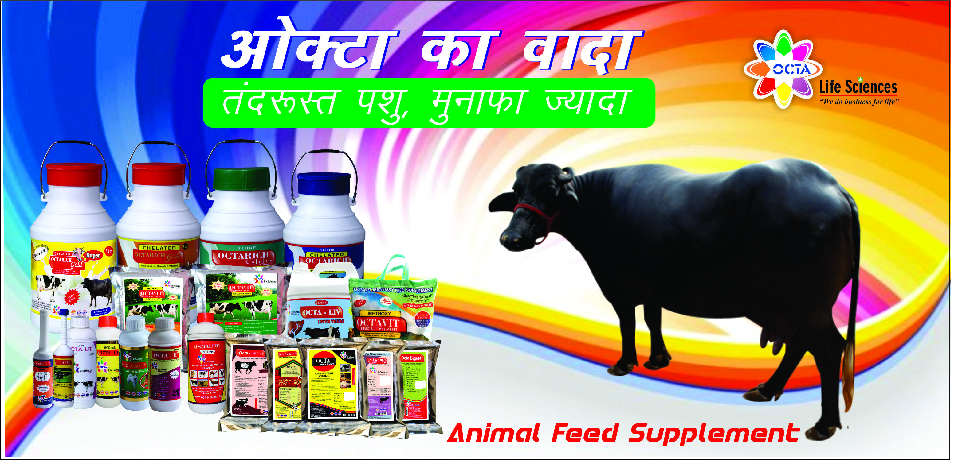 Animal Feed Supplement - Powder Form, Amino Acid Based, Strong Fragrance | Promotes Milk Yield, Supports Immune System, Fresh Texture