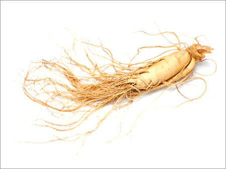 Ginseng Extract - 98% Purity, Yellow Solid Root Extract | Boosts Energy, Enhances Cognition, Anti-Inflammatory Properties