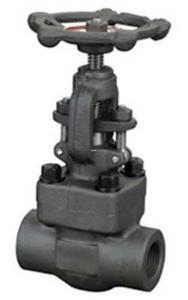 Forged Steel Valves 
