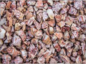 Organic Betel Nut