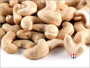Organic Cashew Nut