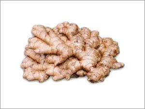 Organic Ginger