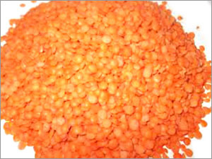 Moong Dal