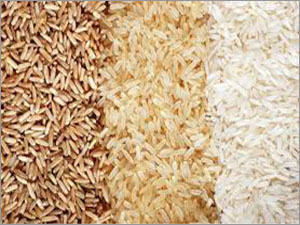 Fresh Rice