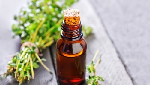 Thymol Oil - Organic, 99% Pure, 250ml & 500ml | Aromatherapy, Insect Repellent, Flavoring for Candies, Healing for Skin and Respiratory Relief