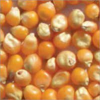 मशरूम पॉपकॉर्न