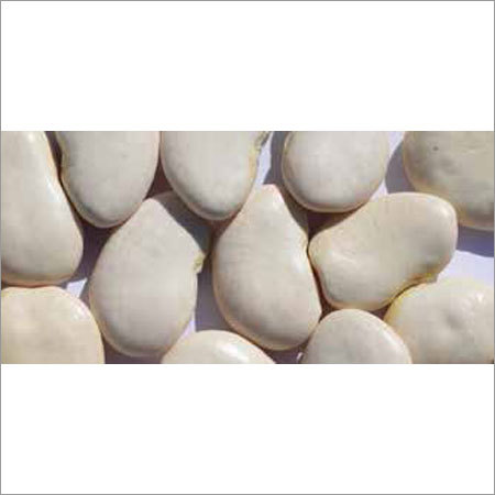सफेद लीमा बीन्स