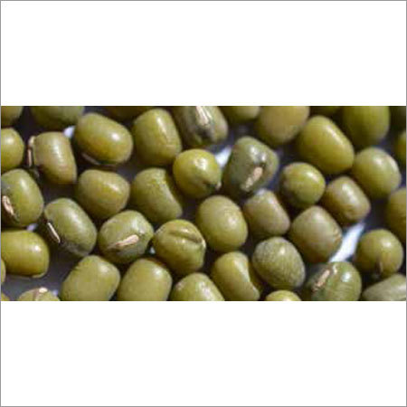 हरी मूंग दाल