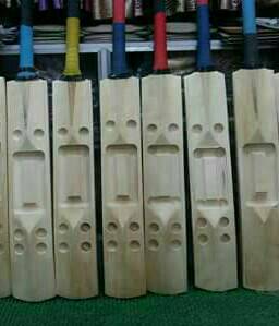 Designer Bat
