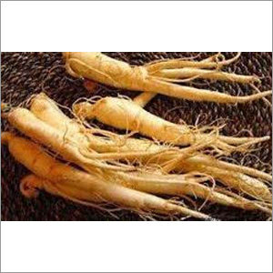 Ginseng Extract