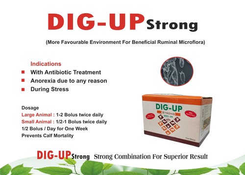 Dig-up - Liquid Nutrition Feed, Calcium 25.0%, Iron 1500mg, Manganese 1500mg, Vitamin A 700000iu, Vitamin D 700000iu, Suitable For Camel, Pig, Sheep